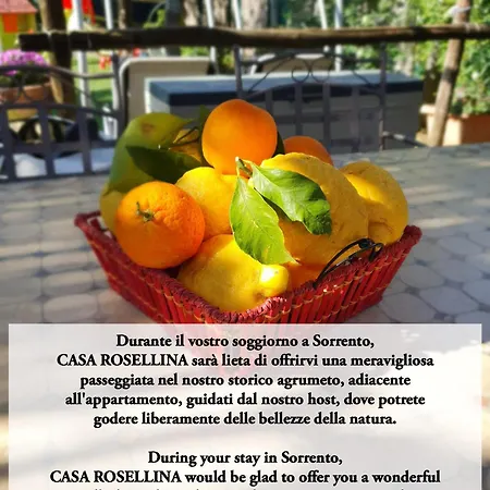 Holiday home Casa Rosellina *