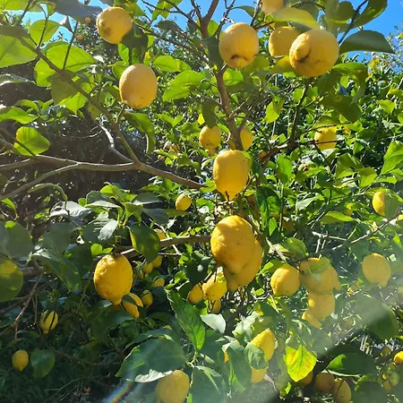 Casa Rosellina Holiday home