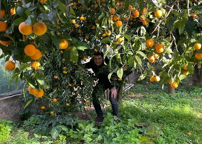 Casa Rosellina Holiday home Sorrento