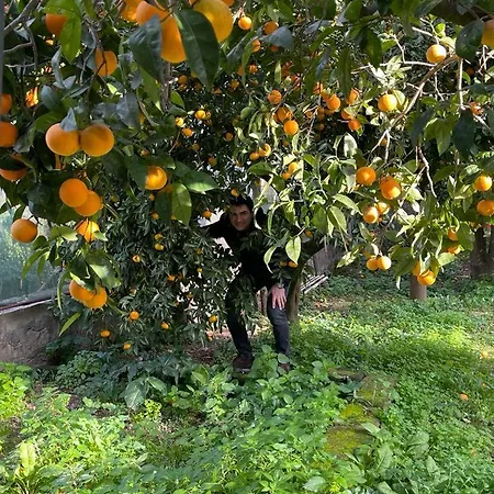 Casa Rosellina Ferienhaus Sorrent