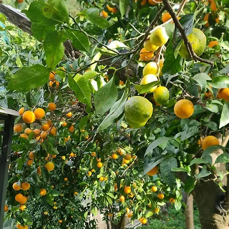 Casa Rosellina Ferienhaus