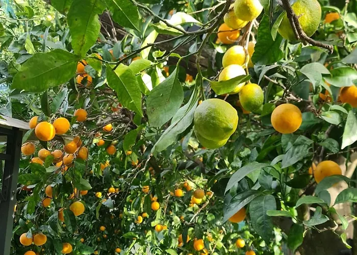 Casa Rosellina Holiday home