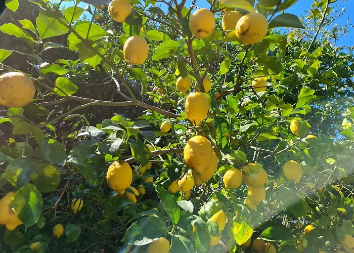 Casa Rosellina Nyaraló