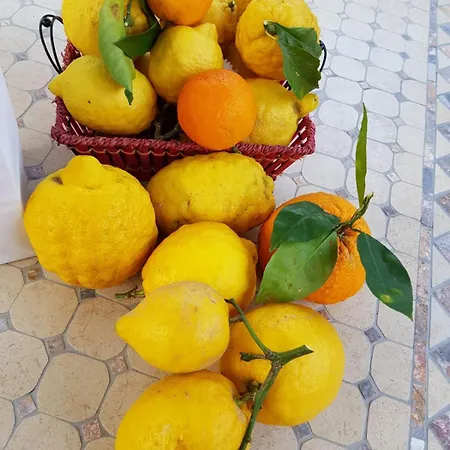 Casa Rosellina * Sorrento